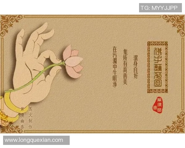 高尚之心照亮人生旅程追寻真善美的精神力量